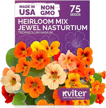 KVITER 75 Mix Jewel Nasturtium Seeds for Planting Outdoors (Tropaeolum Nanum) — Heirloom & Organic Seed Packet — Edible Flower Seeds to Plant Outside & Inside in Garden, Containers, Hanging Baskets