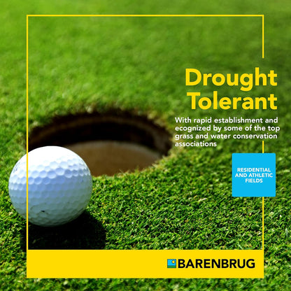 Barenbrug Turf Blue Pro Kentucky Bluegrass Lawn Seed with Yellow Jacket Seed Coating, All-Season Durable Grass Mix for Lawns, 10-lb. Bag