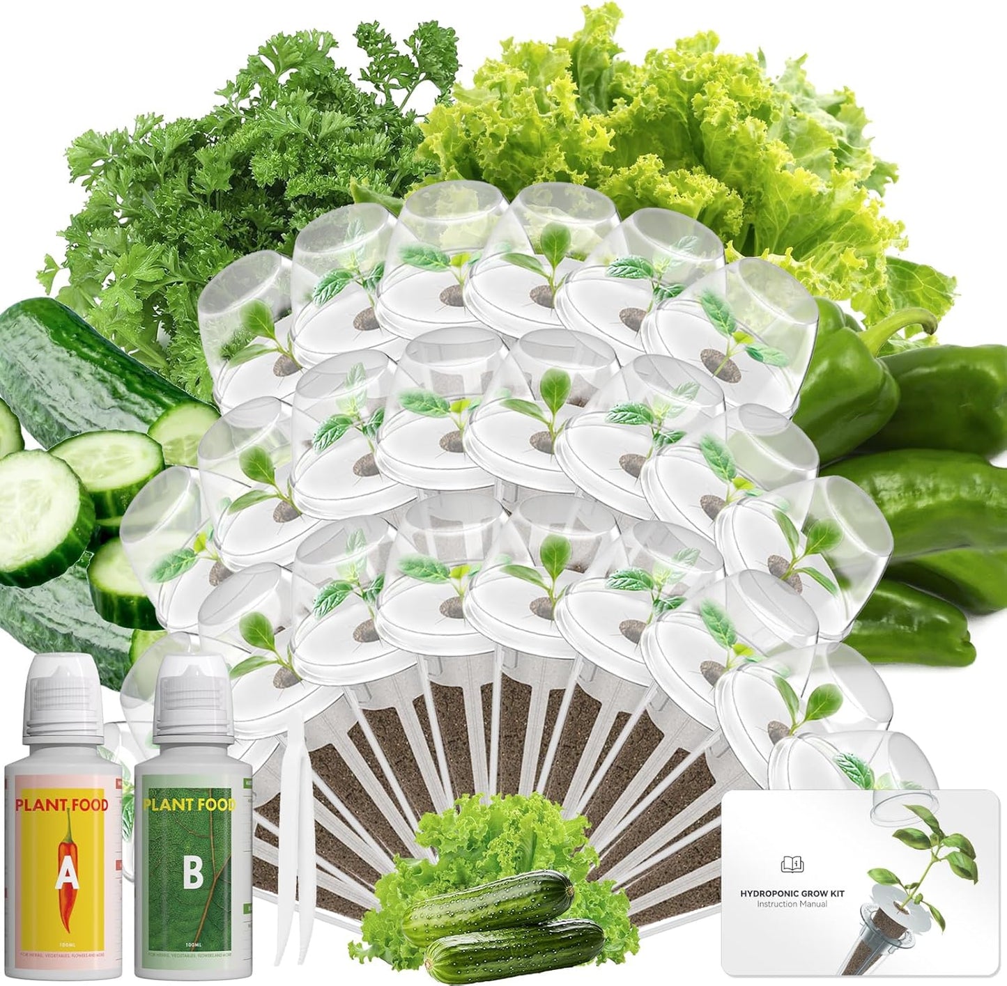 LYKOCLEAN 24 Pods Vegetable & Salad Green Seed Pod Kit for Aerogarden, Ahopegarden, iDOO – Non-GMO American Fast Lettuce, Green Pepper, Cucumber, Parsley Seeds, Compatible with All Hydroponic System