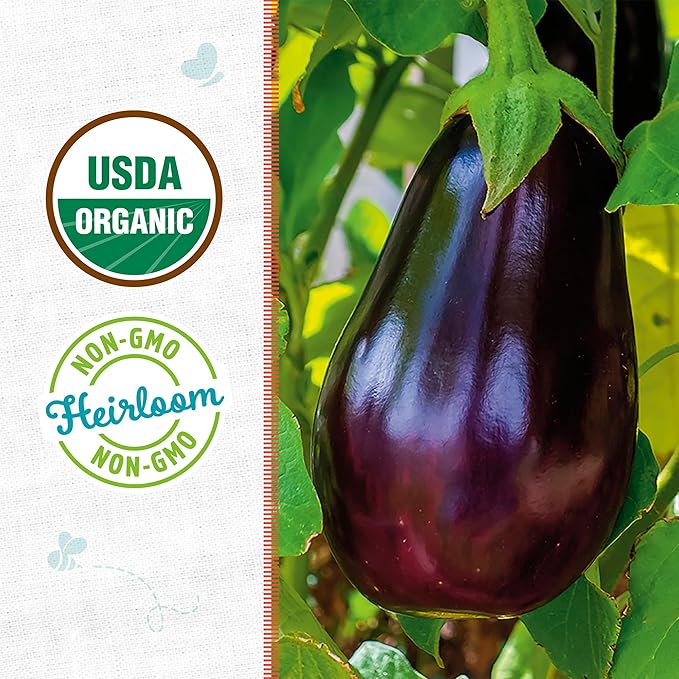 Back to The Roots 100% Organic Heirloom Seeds - Eggplant Value Pack (280mg Total)