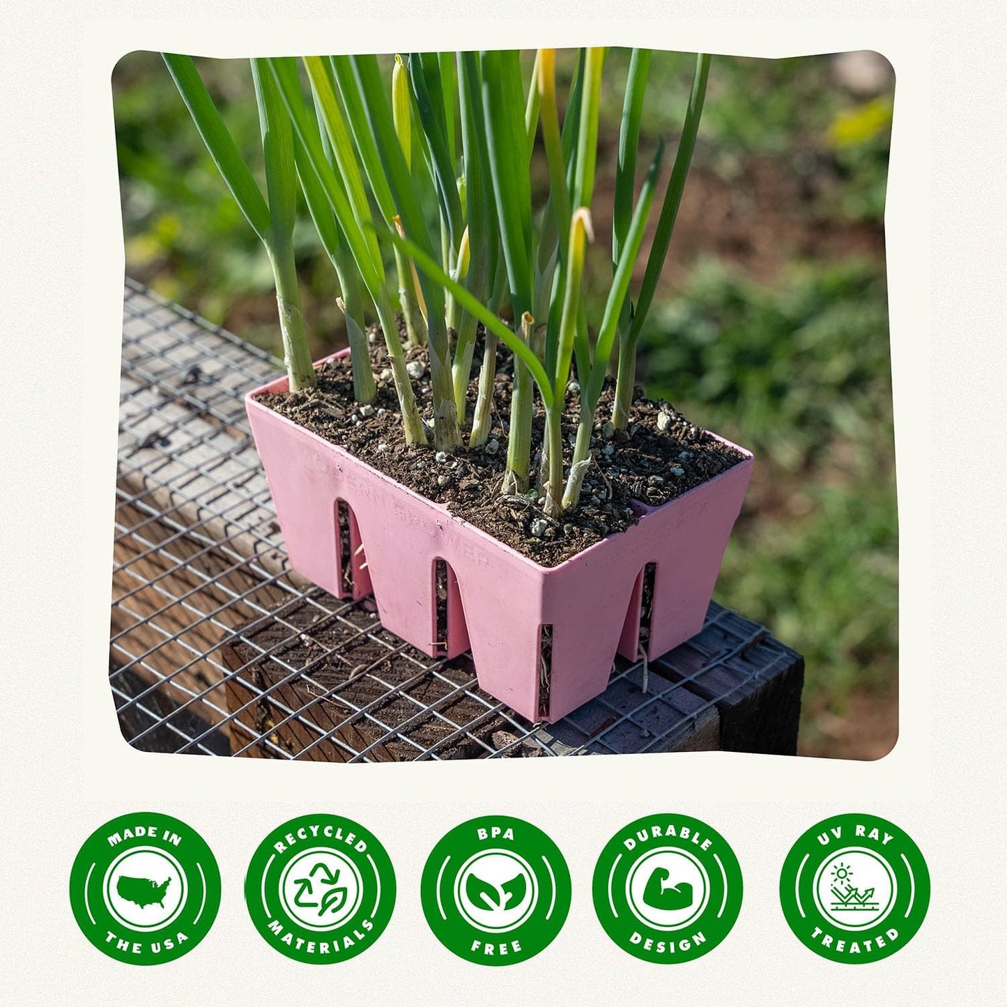 Epic Gardening Reusable Seed Starter Tray - 6 Cell/24 Seedling Starter Trays - Easy Watering, Indoor Greenhouse, Plant Starter, Gardener-Friendly for Seedlings | UV-Treated & BPA-Free - Pink