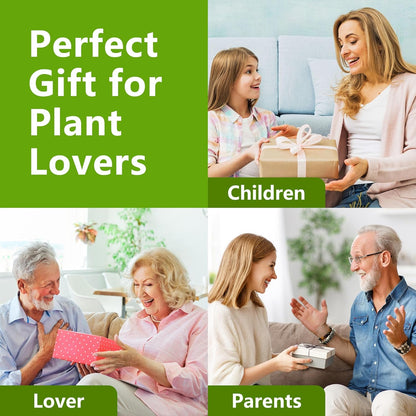 Bonsai Tree Kit, Bonsai Starter Kit with Seeds Tools & Planters, Tree Live Plants Indoor, Gardening Gifts for Women Men Mom Father Plant Lover, Birthday Thanksgiving Christmas Gifts