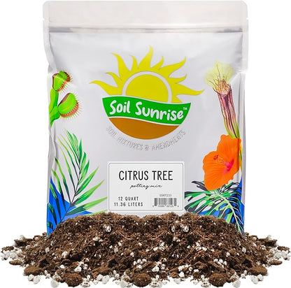Citrus Tree Potting Soil Mix (12 Quarts), Special Blend for Indoor Oranges, Lemons, Limes and More
