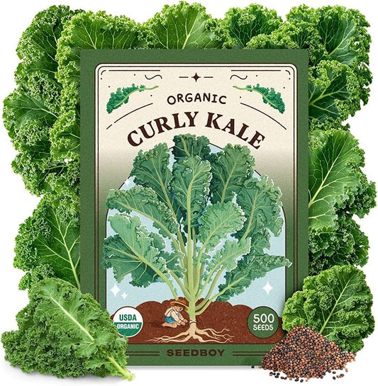 Seedboy Organic Kale Seeds for Planting Indoor and Outdoor, Non-GMO and USDA Certified Vegetable Seed Packet for Hydroponic Garden Indoor or Planting Outdoors (Blue Curled Scotch Kale)