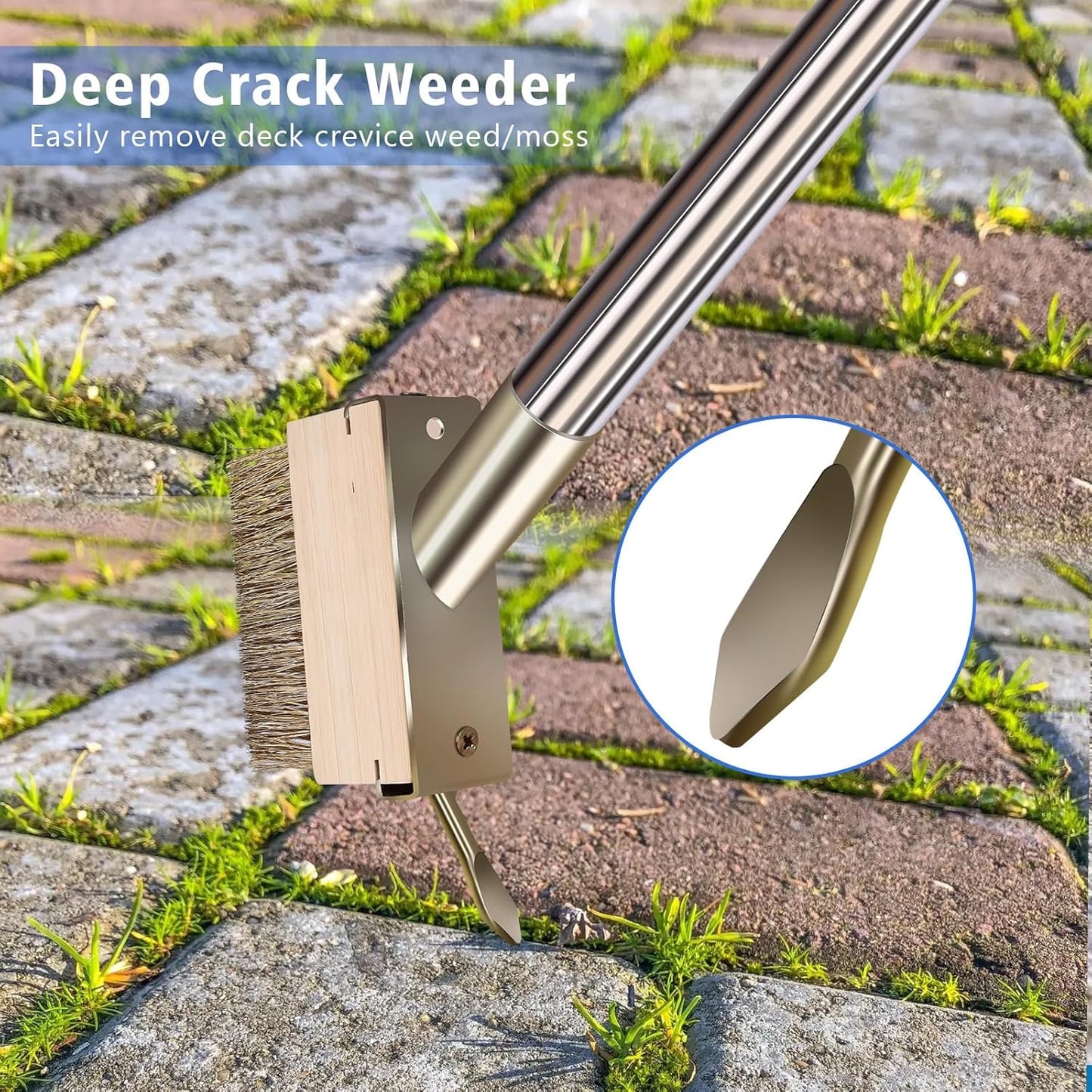 Moss Grout Remover Brush Tool with Detachable 64.9Inch Handle for Outdoor Concrete Deck Pavers Patios Walkways Crevice Cleaning, 2 Pcs Metal Wire Brush Heads with Crack Scraper Weeder Puller