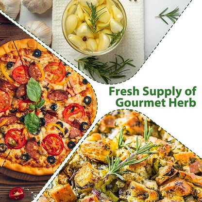 5 Herb Garden Planter Indoor with Wooden Box, Home Kitchen Seed Starter Kit Including Dill, Cilantro, Oregano, Sage, Chives, Birthday, Mothers Day, House Warming, Gardening Gifts for Women, Mom