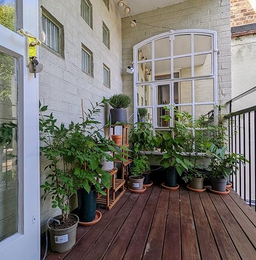 Lewisia 10W Solar Automatic Drip Irrigation Kit Auto Watering System 115FT for 30 Plants