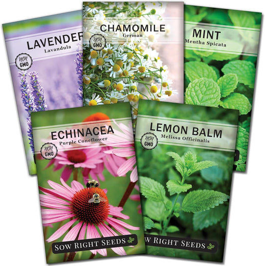 Sow Right Seeds - Herbal Tea Collection - Lemon Balm, Chamomile, Mint, Lavender, Echinacea Herb Seed for Planting; Non-GMO Heirloom Seed, Instructions to Plant Indoor or Outdoor; Gardening Gift