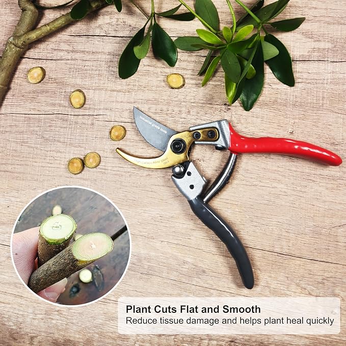 TONMA Bypass Pruning Shears [Made in Japan] 8 Inch Heavy Duty Garden Shears for Gardening, Professional Hand Pruners Garden Clippers with Japanese SK4 Steel Blades, Ergonomic Non-Slip Grip