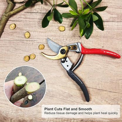 TONMA Bypass Pruning Shears [Made in Japan] 8 Inch Heavy Duty Garden Shears for Gardening, Professional Hand Pruners Garden Clippers with Japanese SK4 Steel Blades, Ergonomic Non-Slip Grip