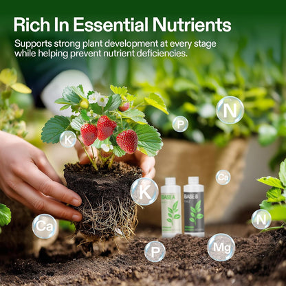 VIVOSUN Liquid Nutrients Base A & B Bundle, Grow Big Hydroponic Fertilizer, Supports Vegetative and Flowering Stages for Outdoor, Indoor Plants, Best Plant Food, Set of 8oz