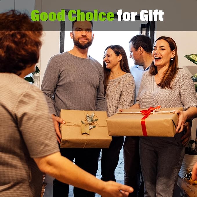 SEYVUM Cordless Leaf Blower, 20V Blower with 2 X 2.0 Ah Battery, Electric Blower for Lawn Care, 350 CFM 150 MPH Battery Powered Leaf Blower with Charger, for Patio, Garden Cleaning, Green