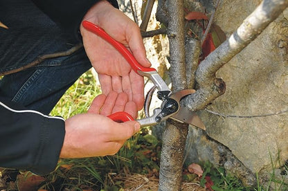 Felco F-13 Pruning Shears – 10.6" Garden Clippers with Dual-Hand Use & 30mm Cut | Hand Pruners for Gardening | Garden Tool Cutter with Bypass & Anvil Blades, Forged Aluminum Handle, Large Hand Fit