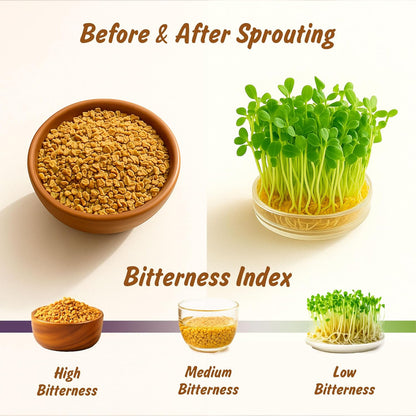 USDA Organic Fenugreek Seeds, Lab Tested for Heavy Metals, Resealable 8 oz Pouch, Methi, Semillas de Fenogreco