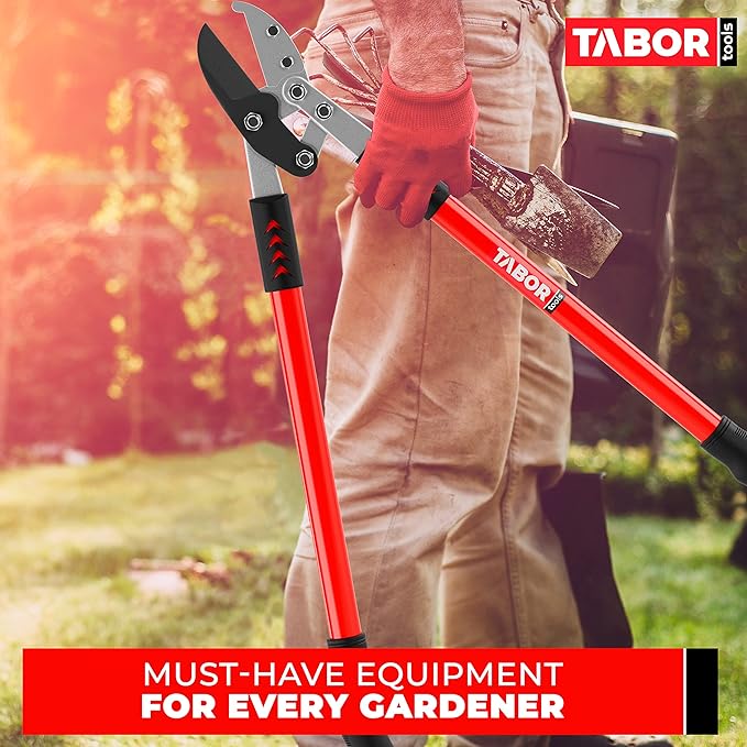 TABOR TOOLS GG12A Anvil Lopper with Compound Action, 30 Inch Tree Trimmer, Thick Branch Cutter with ⌀ 2 Inch Cutting Capacity, Chops Thick Branches with Ease.