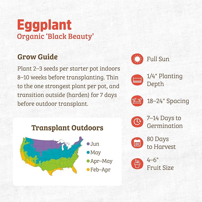 Back to The Roots 100% Organic Heirloom Seeds - Eggplant Value Pack (280mg Total)