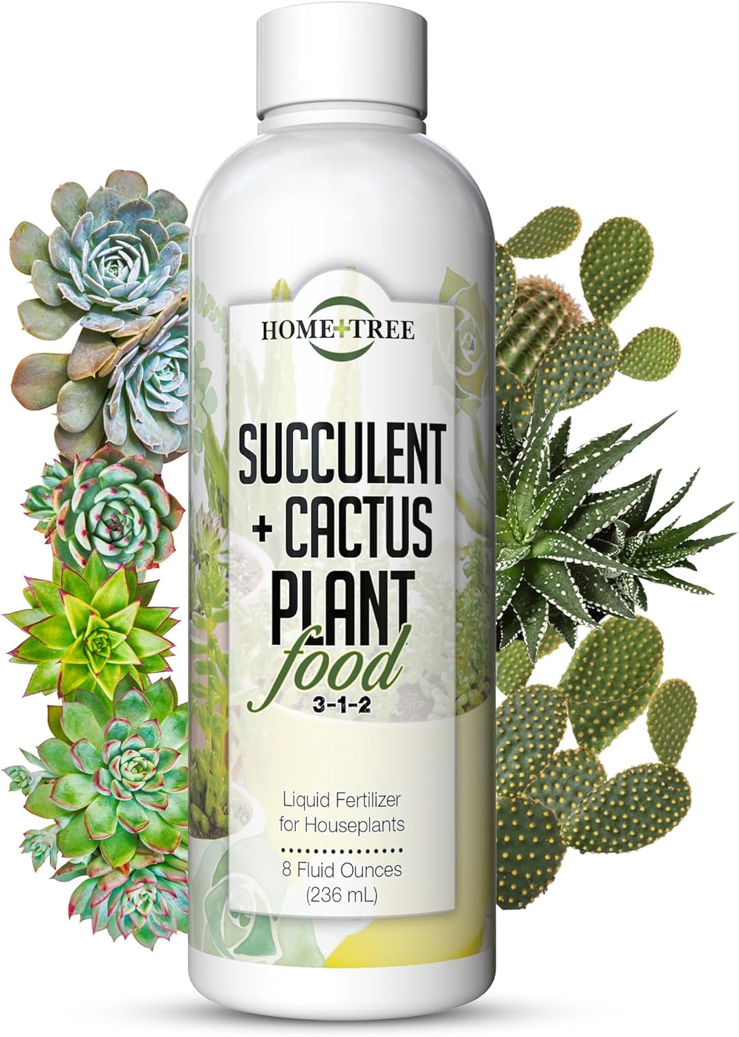 Succulent and Cactus Fertilizer by Home + Tree - Every Bottle Sold Plants A Tree