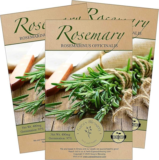 Gaea's Blessing Seeds - Rosemary Seeds - Heirloom Non-GMO Seeds with Easy to Follow Instructions 97% Germination Rate (Pack of 3)