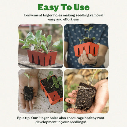 Epic Gardening Reusable Seed Starter Tray - Easy Watering Seed Starting Trays - Gardener Friendly Plant Trays for Seedlings | UV-Treated & BPA-Free -6-Cell Seed Starting Trays - 6 Trays/Terracotta