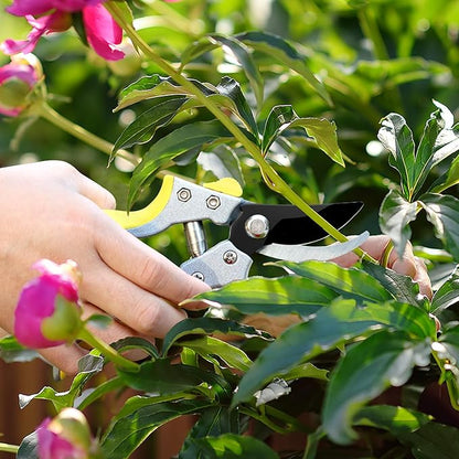 JARDINEER 3PCS Extendable Anvil Loppers for Tree Trimming Heavy Duty, 28-38.5" Branch Cutter with 2 Inch Cutting Capacity, Include Garden Tree Loppers, Pruning Shear and SK5 Spare Blade