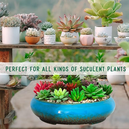 Succulent Pots - 11.5 Inch Ceramic Bonsai Pots with Drainage, Large Shallow Succulent Planters for Indoor Outdoor Plants, Round Glazed Cactus Flower Plant Container Bowl Home Desk Decor(Blue)