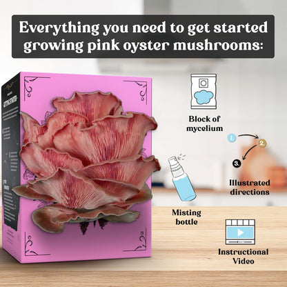 Pink Oyster Mushroom Grow Kit (4lbs) | USDA Certified Organic | Grow Your Own Delicious Gourmet Mushrooms at Home