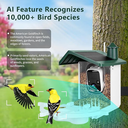 Smart Bird Feeder with Camera for Outside, 2K Ai Camera Feeder Wireless Outdoor, Bird House with Solar Powered Video Live Auto Capture, Watching Gifts for Birds Lovers
