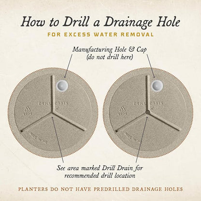 ARBORA 26" Santorini Bowl 2-Pack with Classic Cream Finish - Polyresin Indoor and Outdoor Planter2, Durable, Weatherproof, Lightweight, Large Plant Pots for Patio, Garden, Deck, Entryway