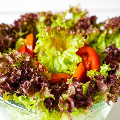 Back to The Roots 100% Organic Heirloom Seeds - Red Lettuce Value Pack (1.4g Total)