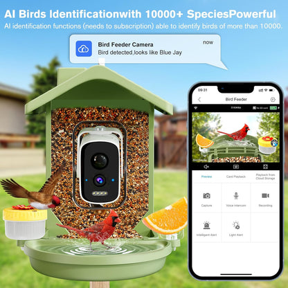 Smart Bird Feeder with Camera Solar Powered, AI Birds Species Identification, 2.5k HD Video Bird House with Camera for Outside, Weatherproof Design Ideal Gifts for Bird Lovers, Green