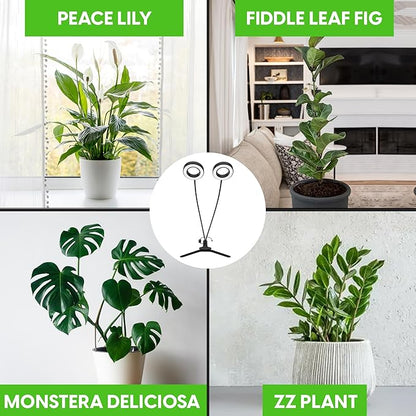 OSANI 24" Gooseneck Long Arm Grow Light, 48" Wide Coverage, 6000K Full Spectrum LED Grow Lights for Indoor Plants with Red Blue LEDs, 10-Level Dimmable, Auto Timer, USB & Adapter, Grow Lights Indoor