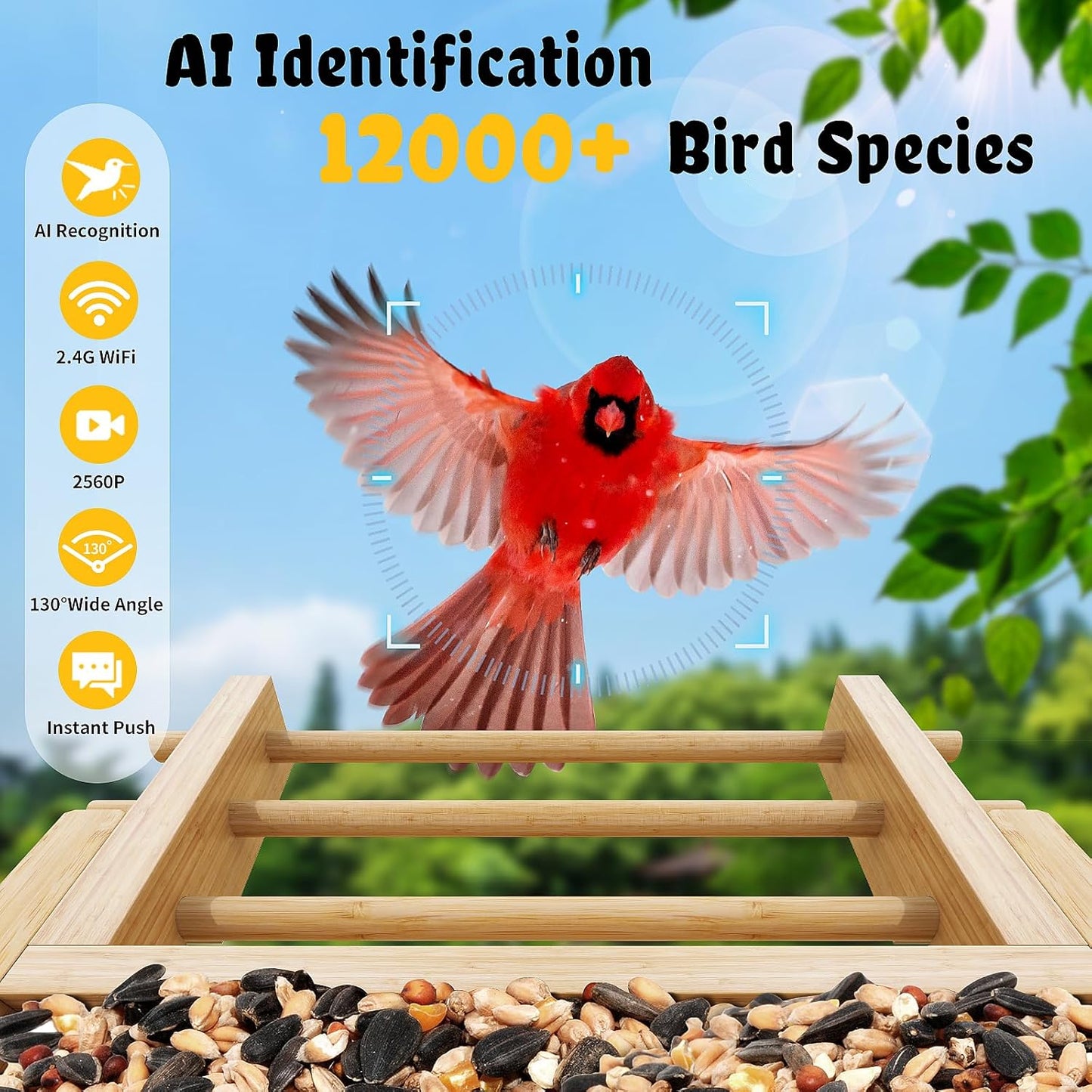 Smart Bird Feeder with Camera Solar-Powered, 5MP AI Identifies Birds 12000+, Color Night Vision, Auto Capture Bird & Motion Detection for Watching, Waterproof Birdfeeders for Outdoors, Garden
