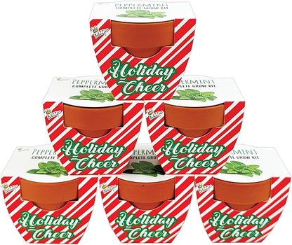 BUZZY Seeds Holiday Candy Cane Mini Terracotta Grow Pots, 6-Pack Peppermint Seeds, Indoor Plant Starter Kit, Stocking Stuffers, Party Favors Adults, for Kids