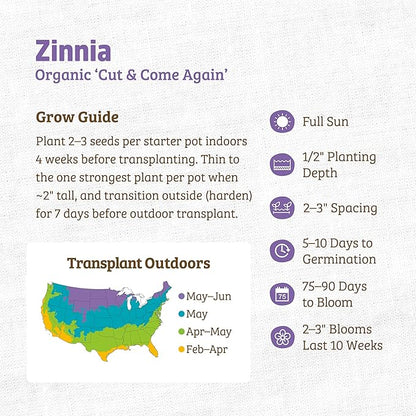 Back to The Roots 100% Organic Heirloom Seeds - Zinnia Pumila Mix Flowers Value Pack (420mg Total)