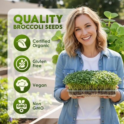 Nature Jims Sprouts Organic Broccoli Seeds for Sprouting – Certified Non-GMO, Rich in Sulforaphane, Swift-Growing Microgreen Seeds for Nutritious Broccoli Sprouts – Ideal for Indoor/Outdoor Use – 8oz