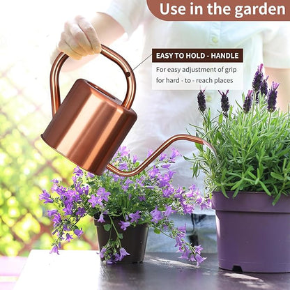 Watering Can, Stainless Steel Watering Can for Indoor & Outdoor Plants, 1L/35oz Long Spout Water Can with Handle, Rust-Proof Plant Watering Pot for House Plants, Garden Flowers