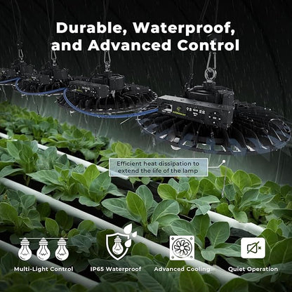 Hanging Grow Light for Indoor Plants, Full Spectrum LED, 200W High PPFD, Dimmable with Timer & Daisy Chain, IP65 Waterproof Grow Light, for Seed Starting, Vegetative, Bloom & Fruiting