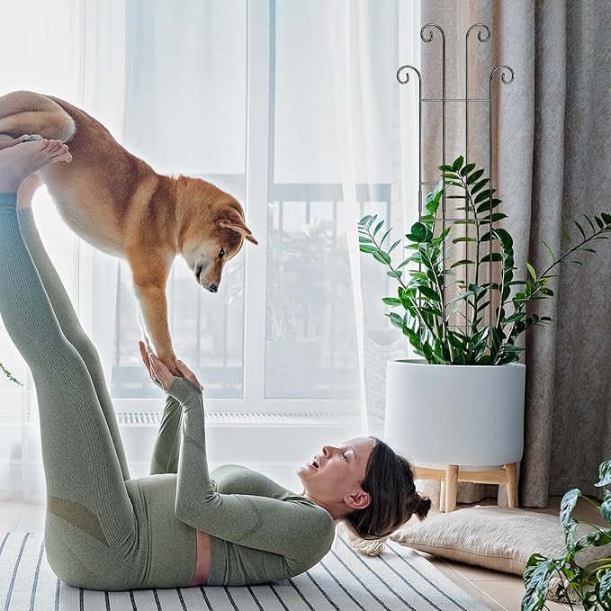 Coomin 32.6in Monstera Plant Support Stakes for Outdoor Plants, Garden Trellis for Climbing Plants, Metal Stakes for Potted Plants Pothos Plant Climber Support, 4P