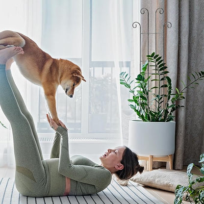 Coomin 32.6in Monstera Plant Support Stakes for Outdoor Plants, Garden Trellis for Climbing Plants, Metal Stakes for Potted Plants Pothos Plant Climber Support, 4P