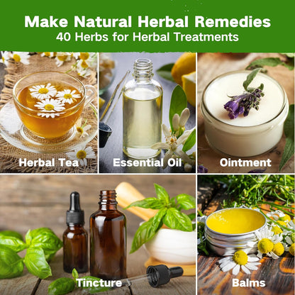 LUSH&DEW Medicinal Herb Apothecary Seed Chest, 40 Varieties 38,000+ Non-GMO Heirloom Seeds for Planting Herbs Hydroponics Windowsill, Gardening Gifts for Herbalists, Seed Kit for Herbal Tea Tinctures