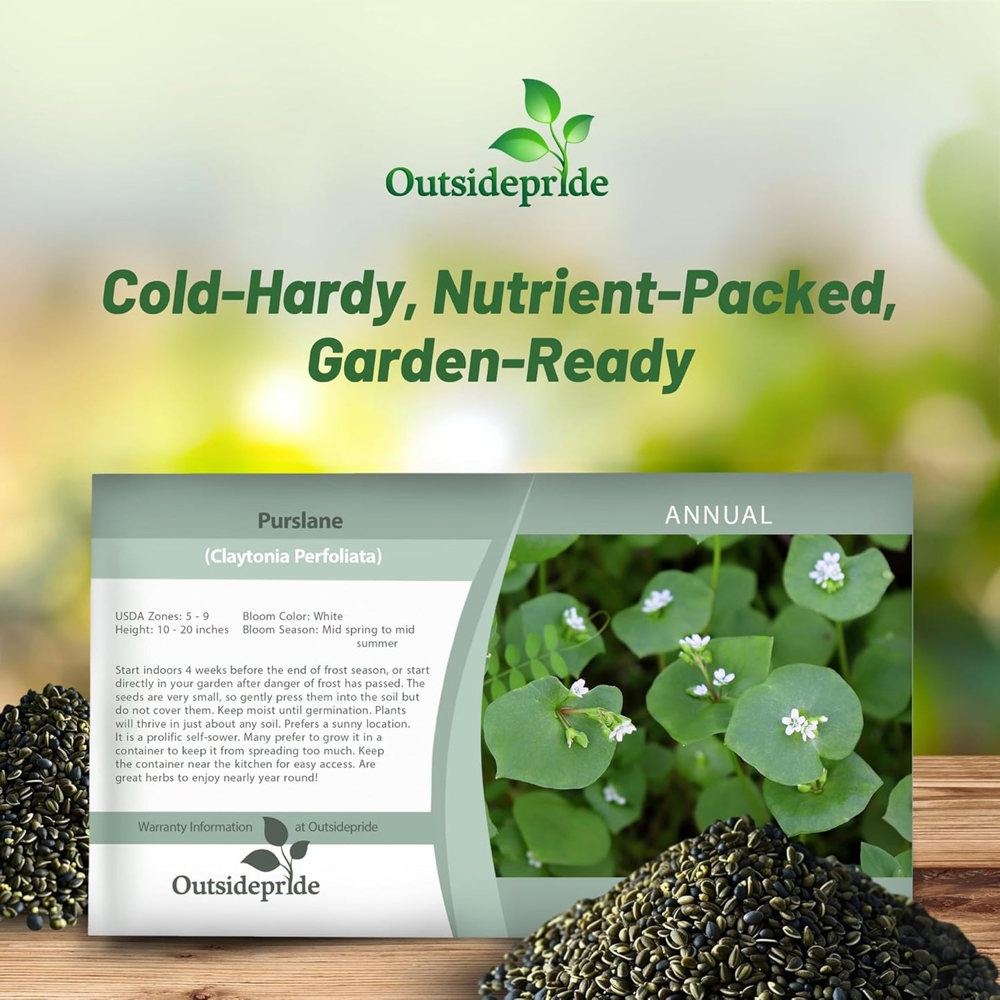 Outsidepride Winter Purslane Seeds for Planting - 5,000 Pcs Annual, Easy to Grow, Vitamin-Rich & Drought Tolerant Succulent Seeds for Culinary, Xeriscaping, Containers & Hanging Baskets