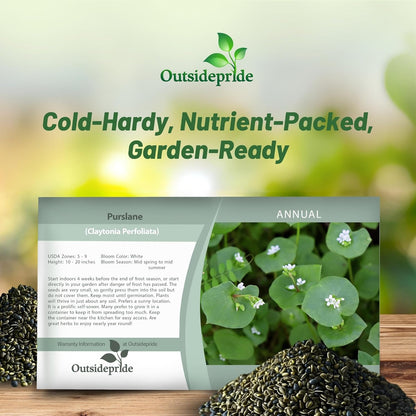 Outsidepride Winter Purslane Seeds for Planting - 5,000 Pcs Annual, Easy to Grow, Vitamin-Rich & Drought Tolerant Succulent Seeds for Culinary, Xeriscaping, Containers & Hanging Baskets