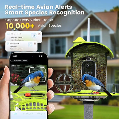 Smart Bird Feeder with Camera, AI Identify Birds Species Solar Powered, 2K HD Video Bird House with Camera, Instant Arrival Alerts, Waterproof Squirrel Proof, Gift for BirdLovers, 2.4GHz WiFi, Green