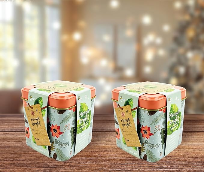 BUZZY Seeds Holiday Mint Square Tin 2-Pack Grow Kit Complete with Non-GMO Seeds and Growing Medium in Decorative Collectible Tins, Stocking Stuffer, Party Favors