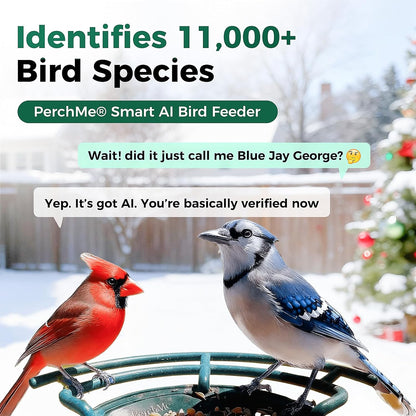 PerchMe® 2025 New AI Bird Feeder with Camera Solar Powered -2K HD Live View,Smart Bird House Camera Wireless Outdoor,DIY Add-ons,Pefect Birding Gift for Parents & Families