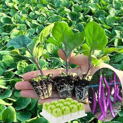 Seed Starter Tray, Seed Starting Trays with Adjustable Ventilation Humidity Planting Pot Plant Starter Kit Greenhouse Propagator Biodegradable Seedling Germination Trays (Green)