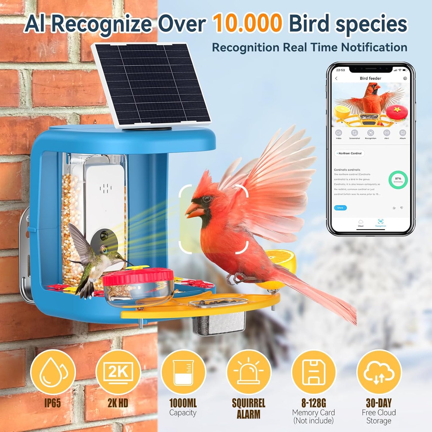 Solar-Powered Smart Bird Feeder with Camera Solar Powered,2K Video Recording, Auto Bird ID & Extensive DIY Accessories,2 in 1 Hummingbird Feeder Camera Ideal Present for Bird Lovers (Blue)