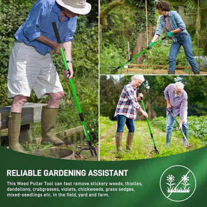 Weed Puller,Stand-Up Weeding Picker Tool,Detachable Hand Weed Root Remover Tool,with 4-Claw Steel Head & 3-Sectioal Pole Long Handle for Lawn/Yard and Garden Gripper Without Bending or Kneeling