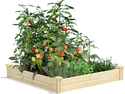Greenes Fence Original Pine Raised Garden Bed, 4' x 4' x 7" (2-Pack) - Made in USA with American Pine