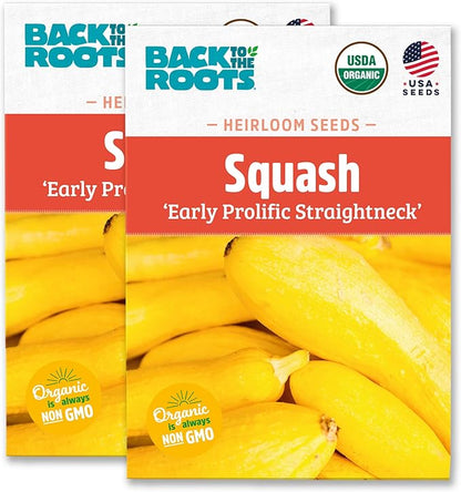 Back to The Roots 100% Organic Heirloom Seeds - Yellow Straightneck Squash Value Pack (5.6g Total)